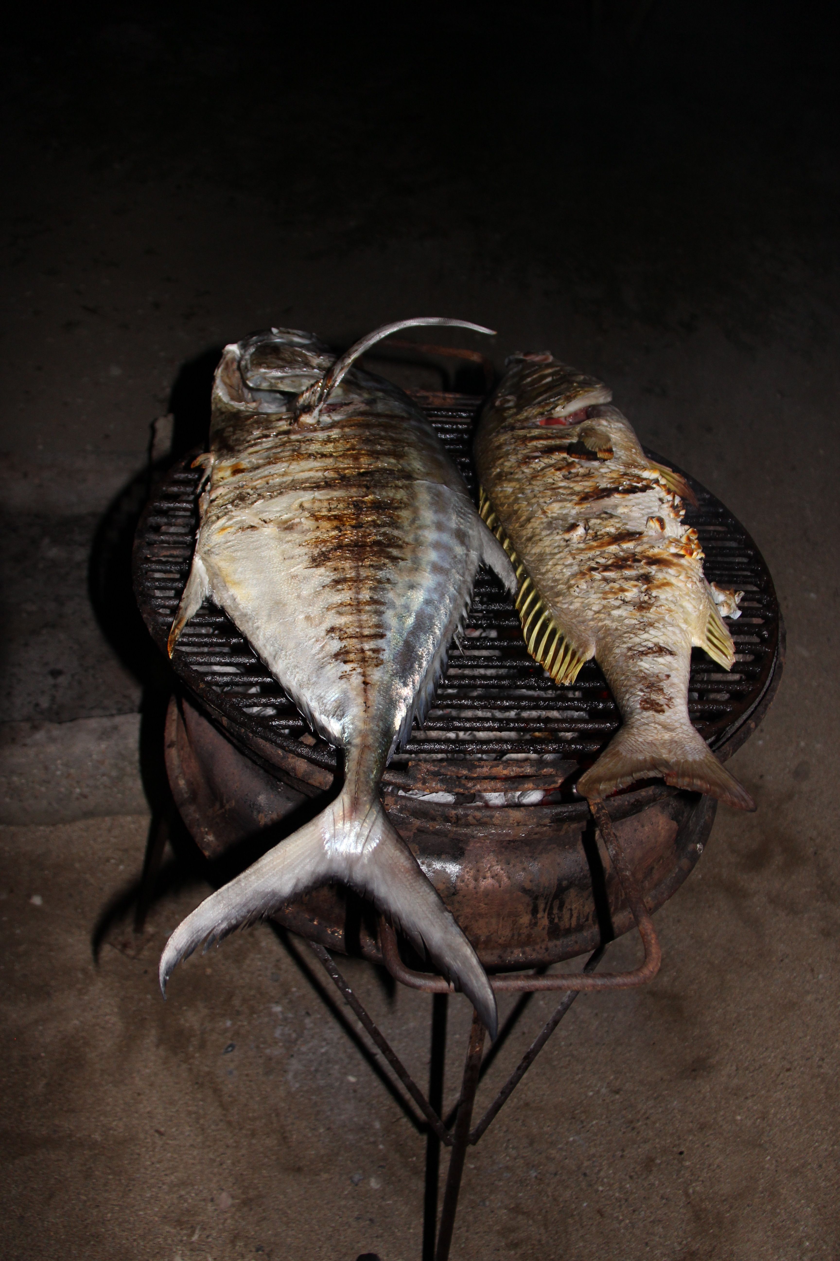 Poisson grillé au barbecue - Tao expeditions Palawan