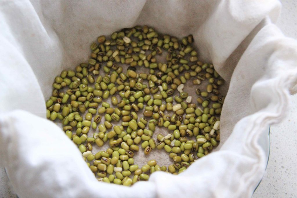 Faire ses propres germes de haricot mungo en 7 jours 🌱, germes de soja